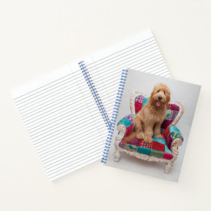 Carnet Images Getty Cute Goldendoodle
