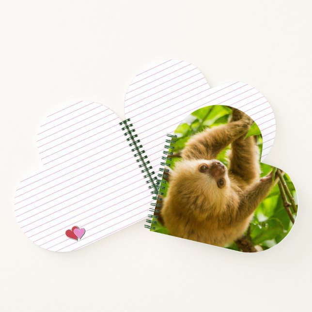 Carnet Images Getty | Derrière (Intérieur)