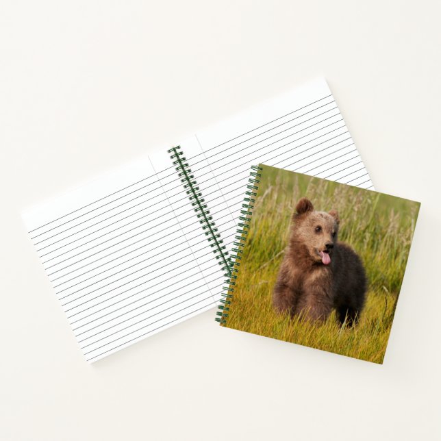 Carnet Images Getty | Drôle bébé ours (Intérieur)