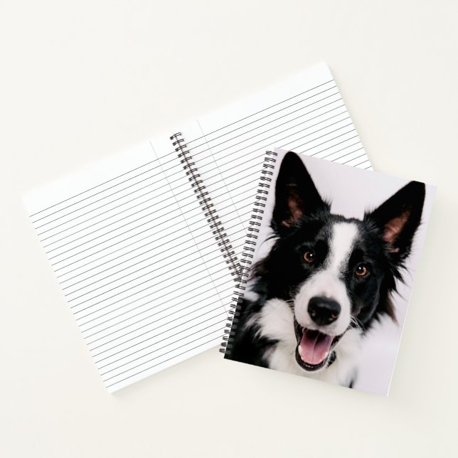 Carnet Images Getty | Une Collie frontalière souriante (Intérieur)