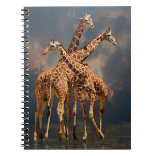 CARNET IMAGINAIRE DE GIRAFFIC