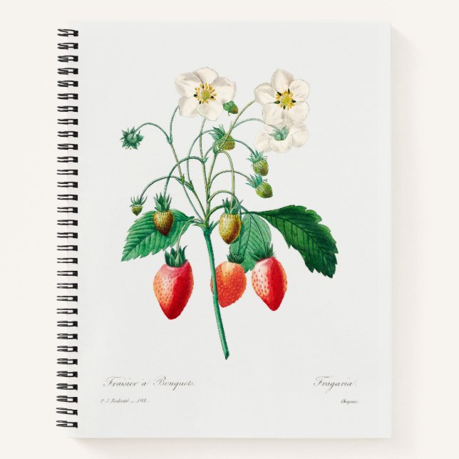 Carnet Impression botanique de fraise (Devant)