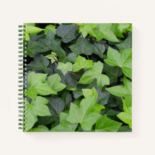 Carnet Impression botanique verte Ivy