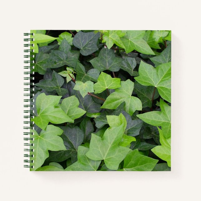 Carnet Impression botanique verte Ivy (Devant)