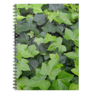 Carnet Impression botanique verte Ivy