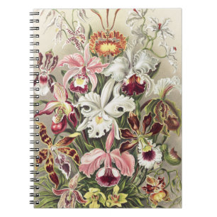 Carnet Impression botanique vintage d'orchidée par Ernst