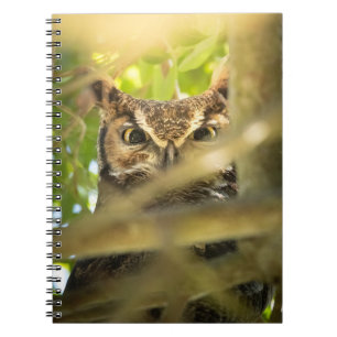 Carnet Impression d'art de photo de faune de Grand-duc d'