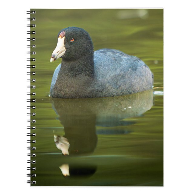 Carnet Impression d'art photo d'oiseau de faune de Foulqu (Devant)