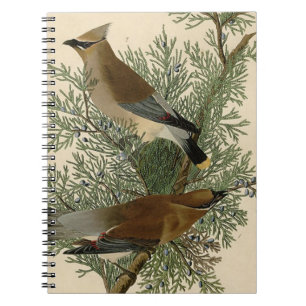 Carnet Impression d'oiseau de John James Audubon Jaseur b