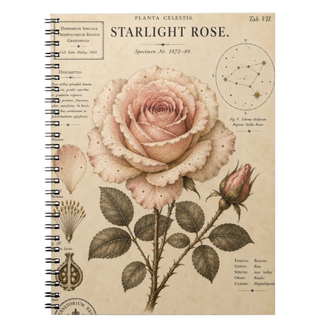 Carnet Impression du Musée botanique victorien Starlight  (Devant)