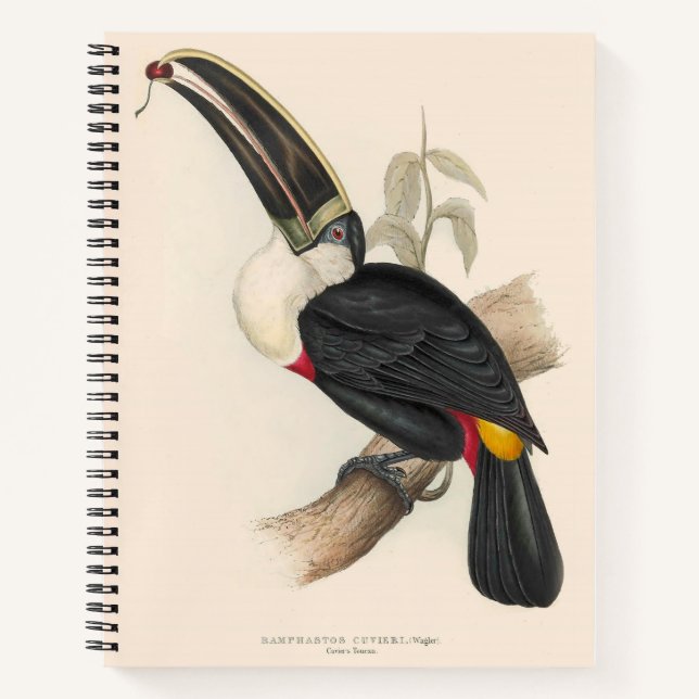 Carnet Impression du Toucan de Cuvier : Oiseau Tropical V (Devant)