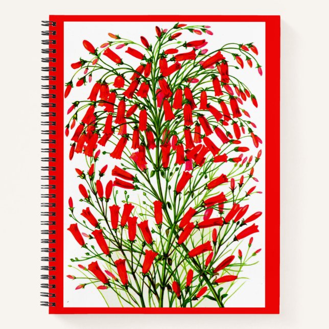 Carnet impression plante de pisteur (Devant)
