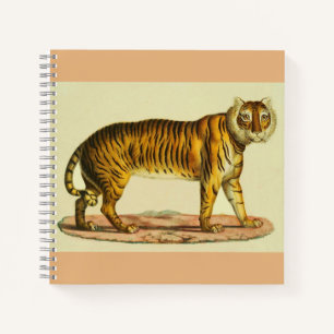 Carnet Impression tigre 1824