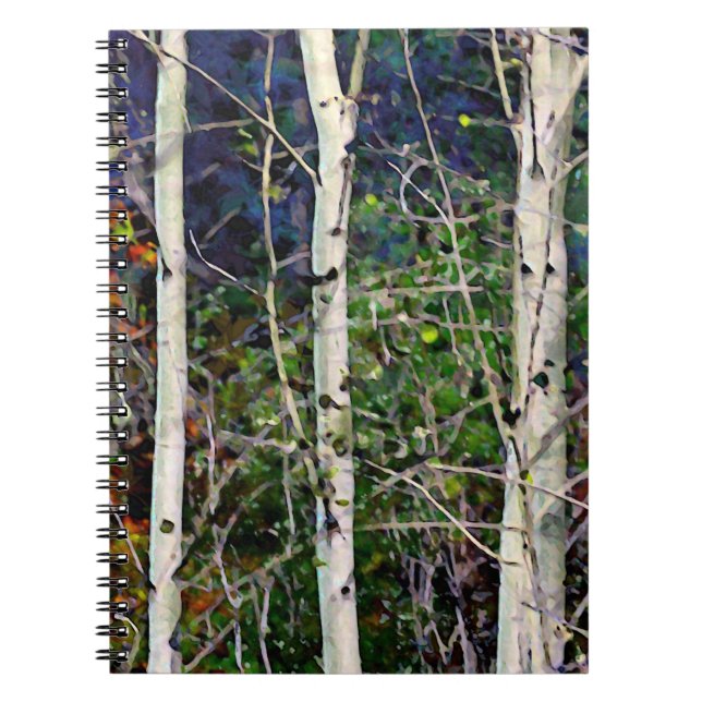 Carnet Impressions Aspen (Devant)