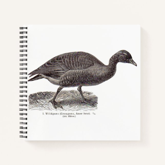 Carnet imprimé aviaire allemand antique Oie sauvage Wildg (Devant)