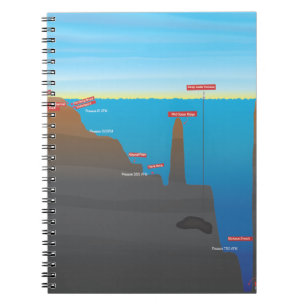 Carnet infographique