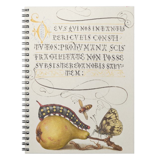 Carnet Insectes de jardin, mouche, chenille, poire, mille (Devant)