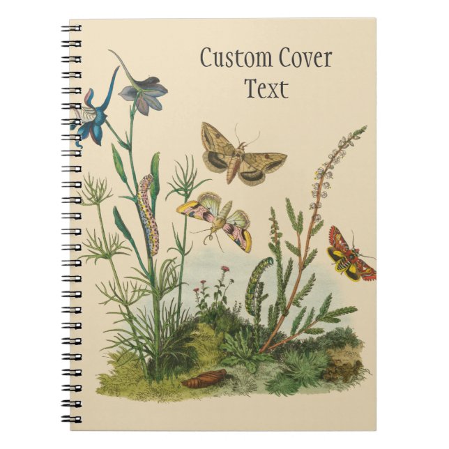 Carnet Insectes de jardin vintage, papillons, chenilles (Devant)