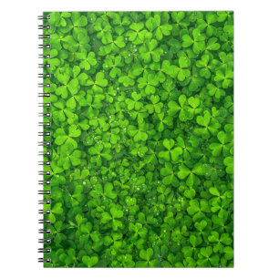 Carnet Ireland
