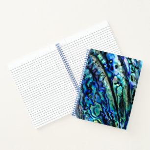Carnet Iridesca Paua Abalone Shell