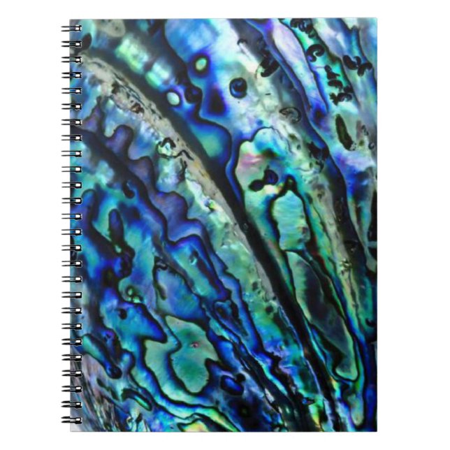 Carnet Iridescente Paua Abalone Shell (Devant)