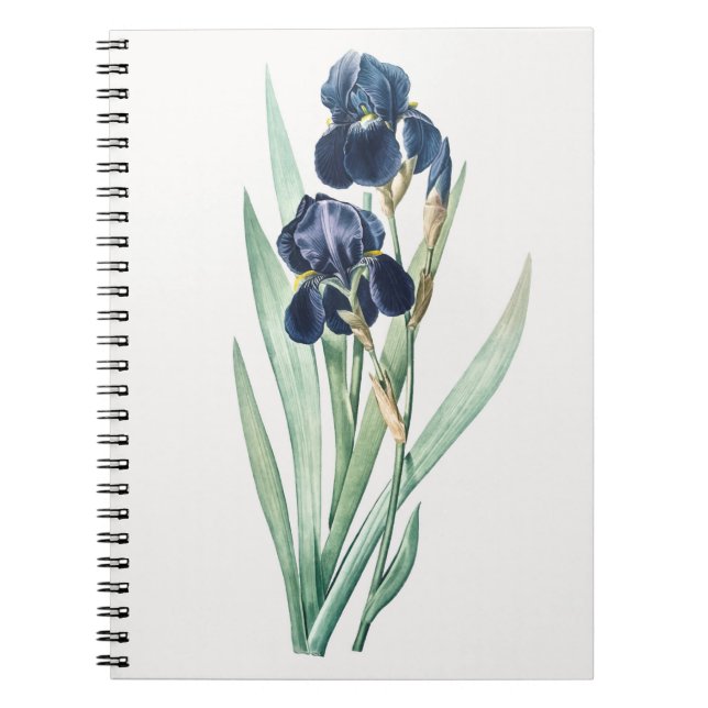 Carnet Iris (Devant)