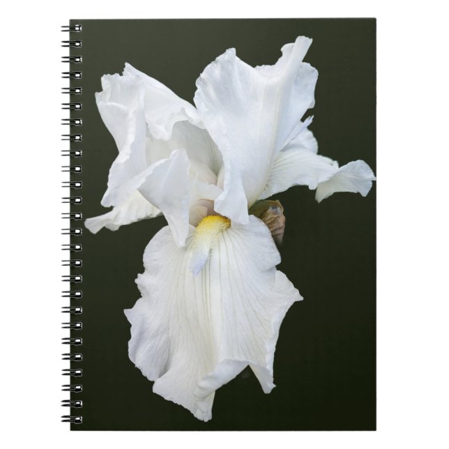 Carnet Iris à barbe blanche sur fond noir (Devant)