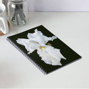 Carnet Iris à barbe blanche sur fond noir