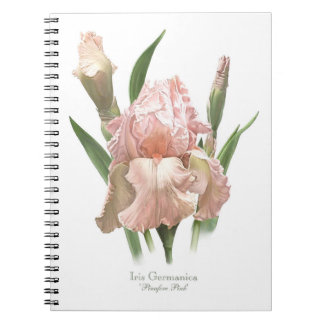 Carnet Iris à poils roses