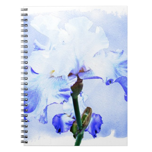Carnet Iris Arborés - Bleu Et Blanc (Devant)