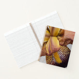 Carnet Iris barbu floral jaune et violet