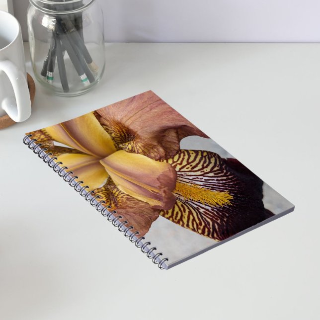 Carnet Iris barbu floral jaune et violet (In Situ)