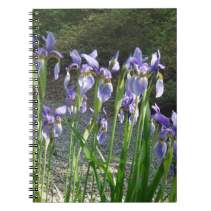 Carnet Iris bleu