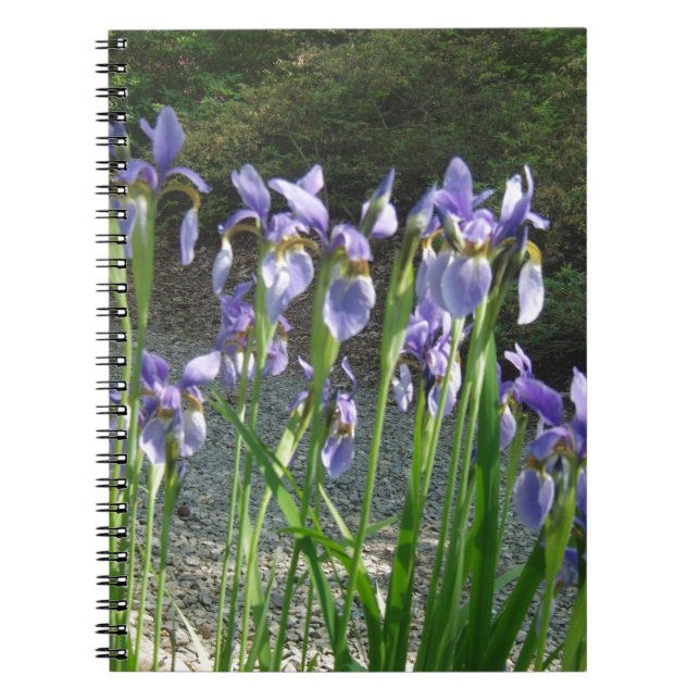Carnet Iris bleu (Devant)