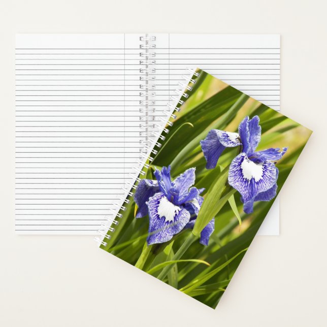 Carnet Iris de Sibérie blancs et violets (À l'intérieur)
