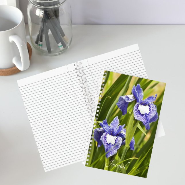 Carnet Iris de Sibérie blancs et violets (In Situ)