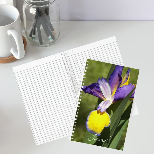 Carnet Iris de Sibérie Fleur Violet et Jaune (In Situ)