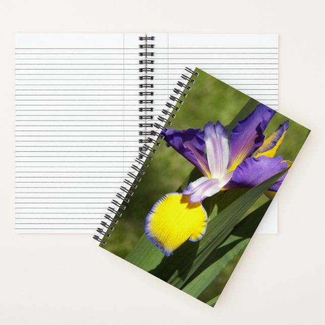 Carnet Iris de Sibérie floral pourpre et jaune (À l'intérieur)