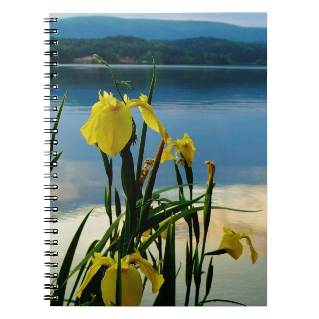 Carnet Iris jaune à Lake Shore (Devant)