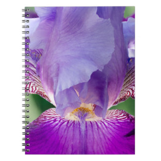 Carnet Iris Nature / Floral / Photo botanique