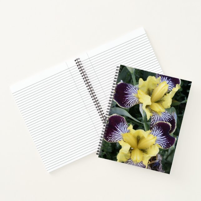 Carnet Iris sans barbe violet et jaune Floral (Intérieur)