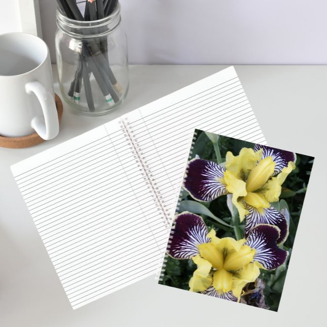 Carnet Iris sans barbe violets et jaunes Floral (In Situ)