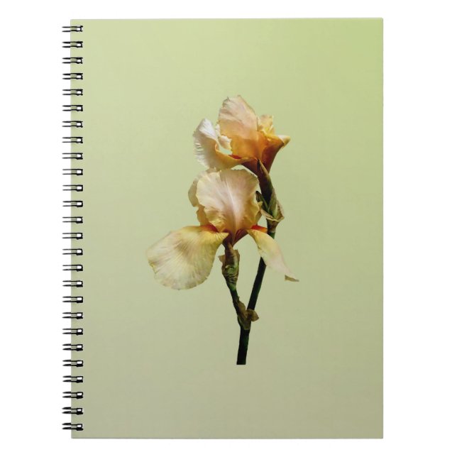 Carnet Irises colorées (Devant)