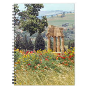 Carnet Italie, Sicile, Agrigente. Les ruines de la