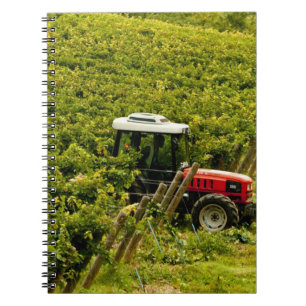 Carnet Italie, Toscane, Greve. Cueilleurs au travail pend