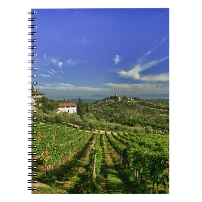 Carnet Italie, Toscane, Greve. Les vignobles de Castello (Devant)