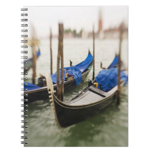 Carnet Italie, Venise, Mise au point sélective de la gond