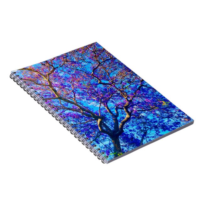 Carnet Jacaranda (Côté Droit)