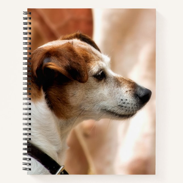 CARNET JACK RUSSELL TERRIER CHIEN (Devant)