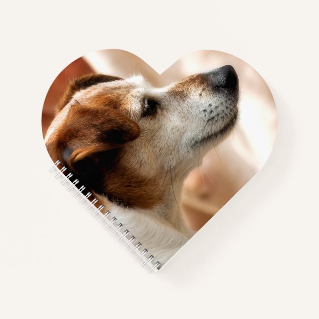 CARNET JACK RUSSELL TERRIER CHIEN (Devant)